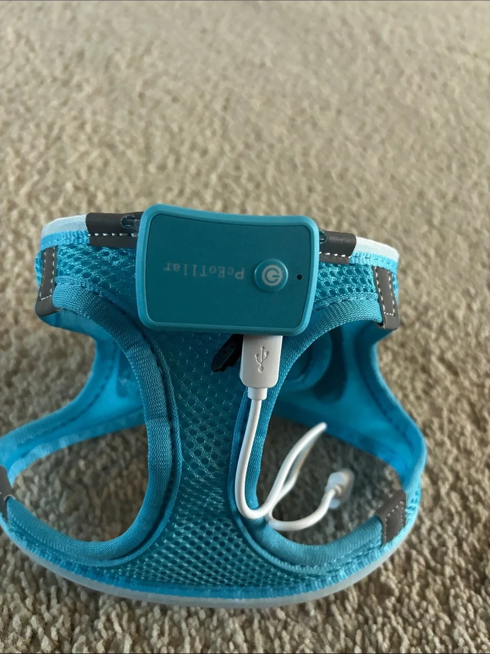 Small LED Light-Up Teal Dog Harness